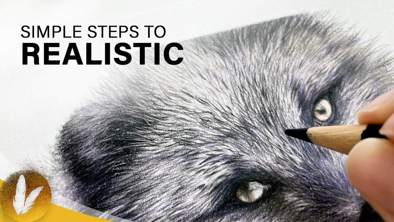 Drawing Short Fur In Colored Pencil Tutorial | Step By Step Fur Tips