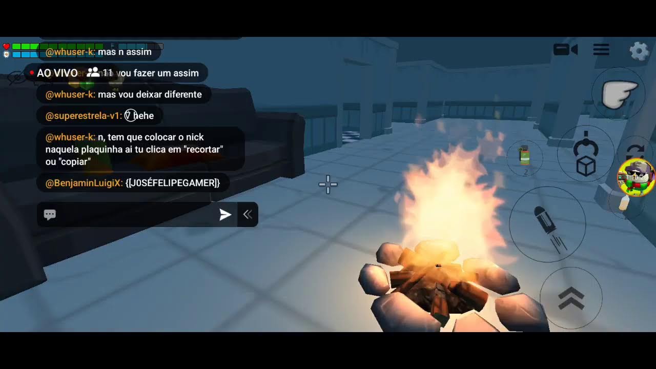 JOGANDO EM SERVES ALEATORIOS NO CHICKEN GUN [se inscrever]