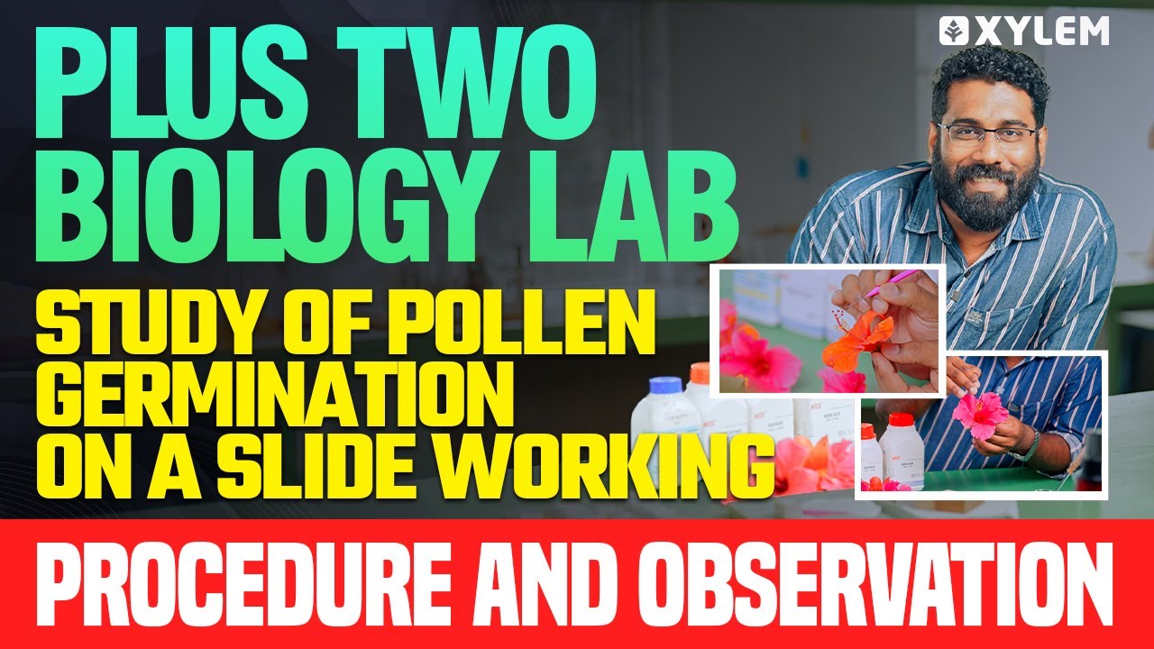 Plus Two Biology Lab | Study Of Pollen Germination On A Slide Working, Procedure And Observation