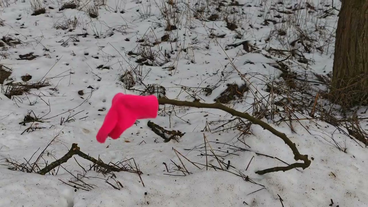 Bakonybèl | Hubertlaki-tó vagy a Bakonyi Gyilkos-tó 
