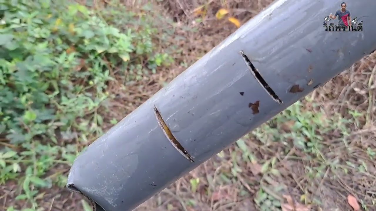 ดักบั้งลัน ดักปลาไหล หลังฝนตกใหญ่ แบบหมานๆ .วิถีพรานตี๋...