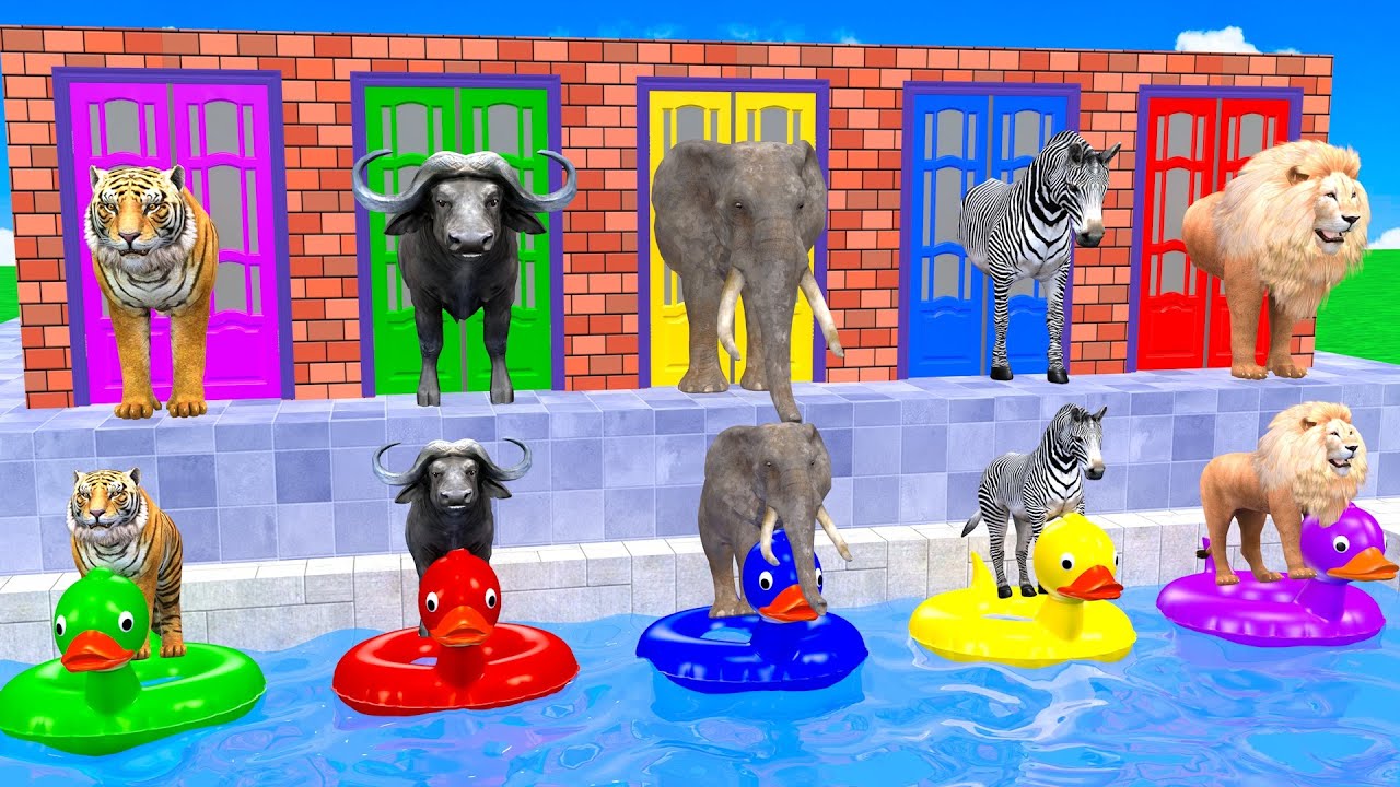 Long Slide Game With Tiger Buffalo Elephant Zebra Lion 3d Animal Game Funny 3d Animals