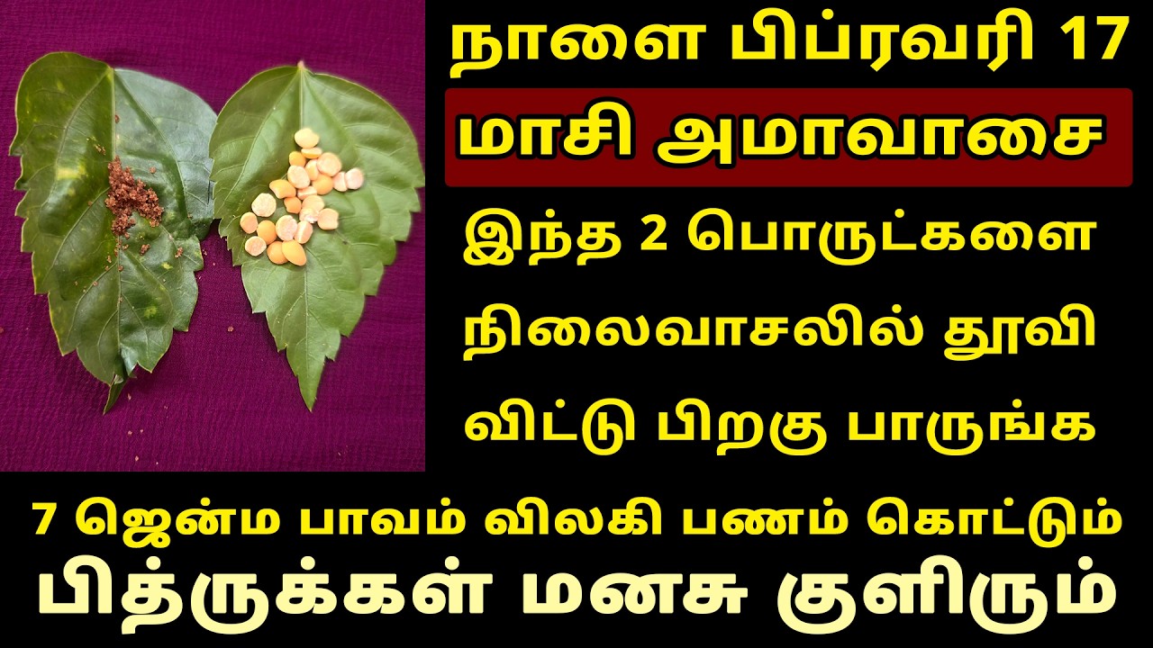 நாளை Feb-17 மாசி அமாவாசை நிலைவாசலில் இதை தூவி விடுங்க! Masi Amavasai worship