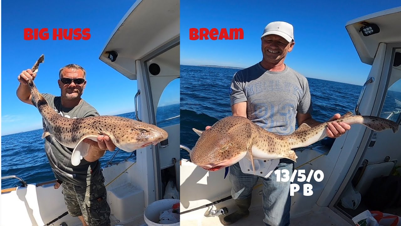 Wreck fishing for bull Huss and bream