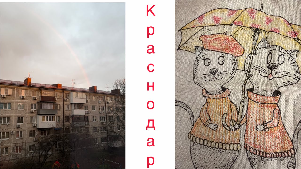 День из жизни в Краснодаре.