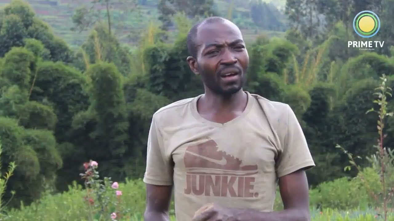 RULINDO: Abahinzi b'indabo bavuga ko bafite ikibazo cy'amazi yo kuhiza bigatuma umusaruro ugabanuka