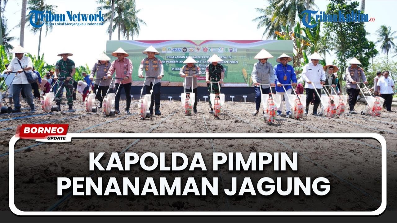 36 Ton Jagung Hasil Panen Polda Kaltim Disalurkan ke Bulog demi Ketahanan Pangan