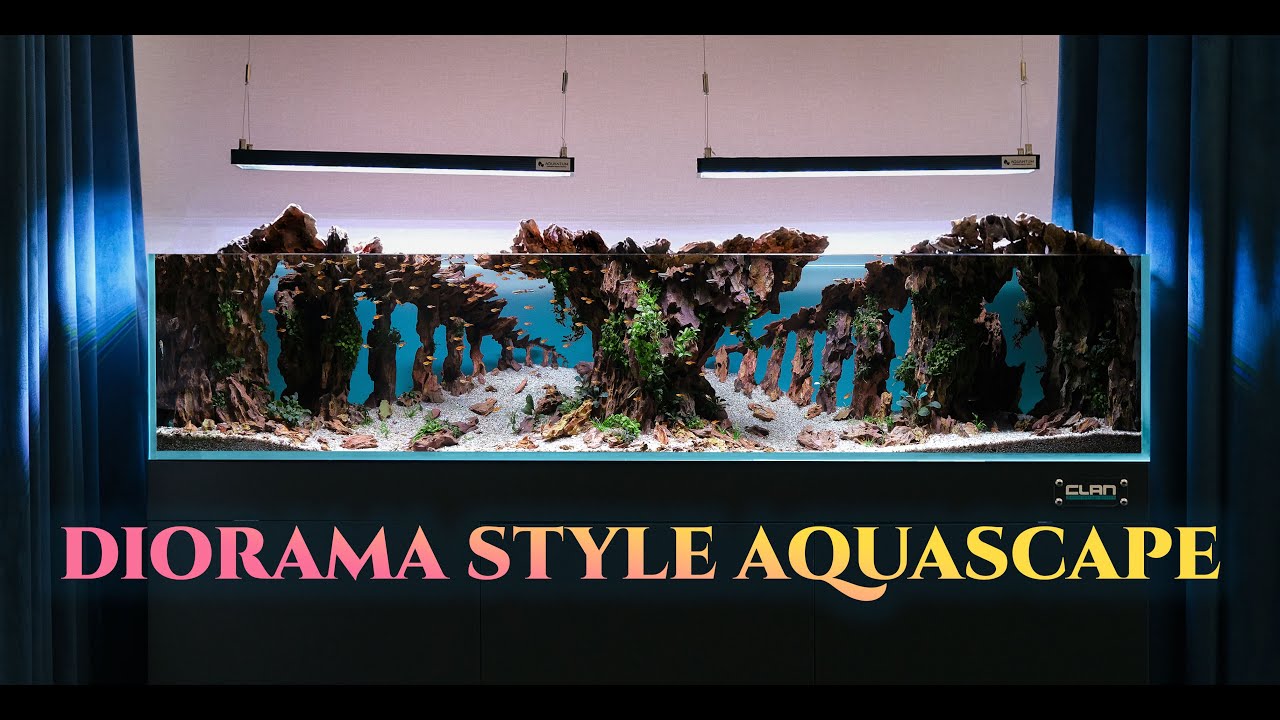 170x50x35h Diorama Style Aquascape For Customer (Akvaryum tasarımı)