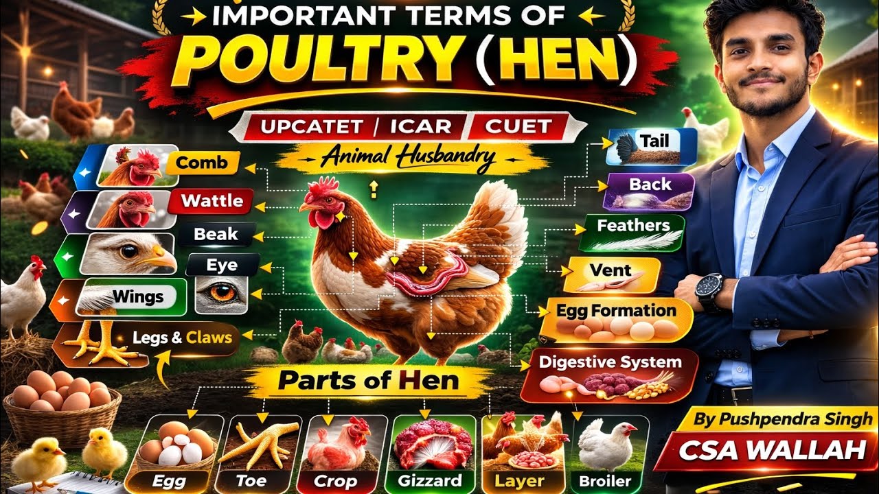 #Terminology of Poultry# Animal husbandry #upboardexam #upcatet #@CSAWallahOfficial # by pushpendra 