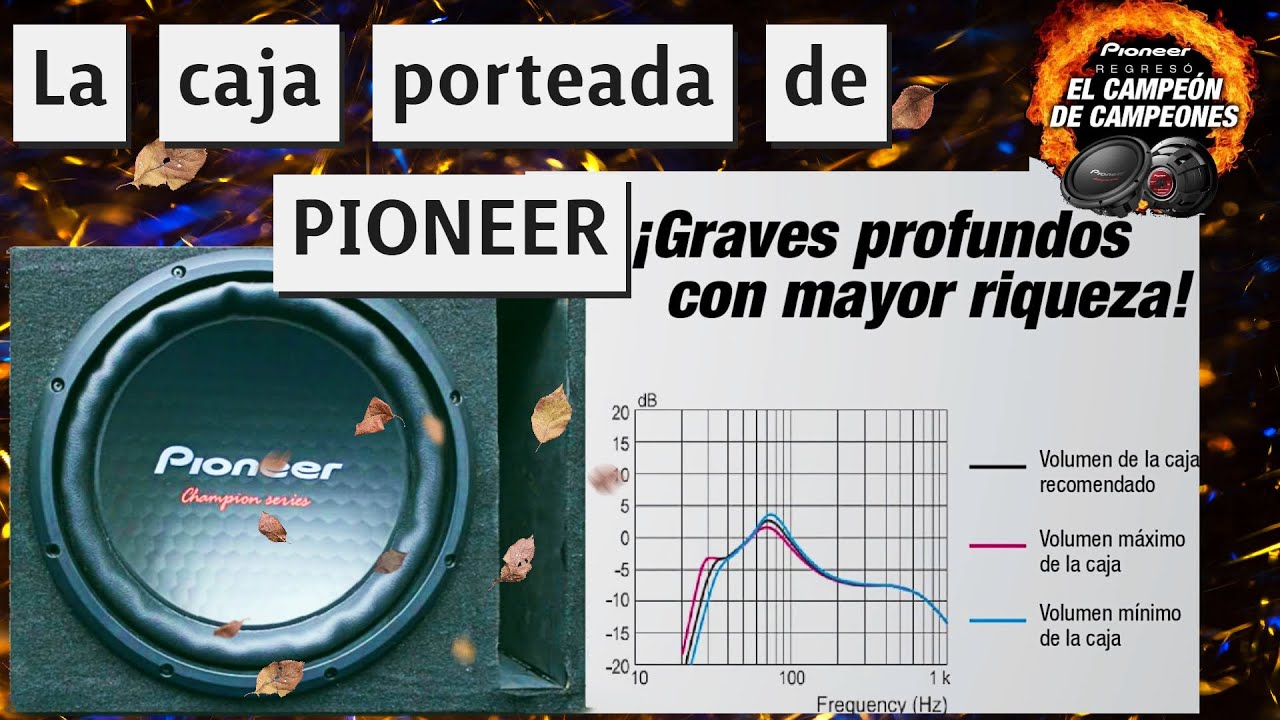 LA SUPER CAJA PORTEADA RECOMENDADA DE PIONEER