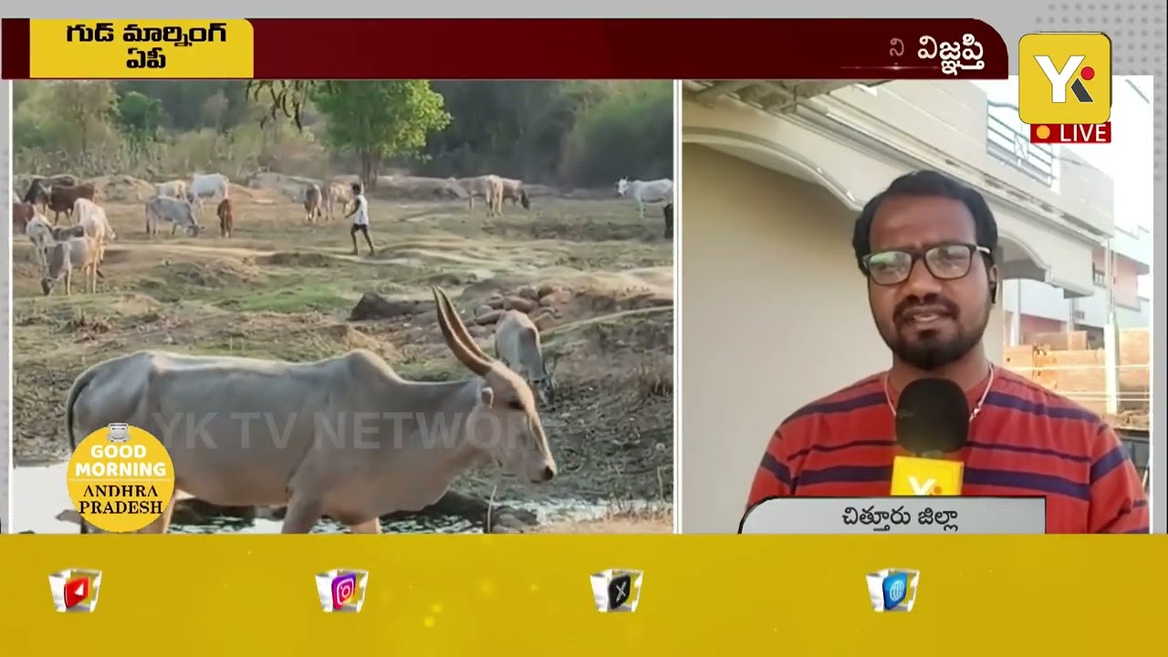 Good Morning AP: చిత్తూరు జిల్లాలో చిరుతల కలకలం.. జనంలో భయం.! Leopards Fear in Chittoor district