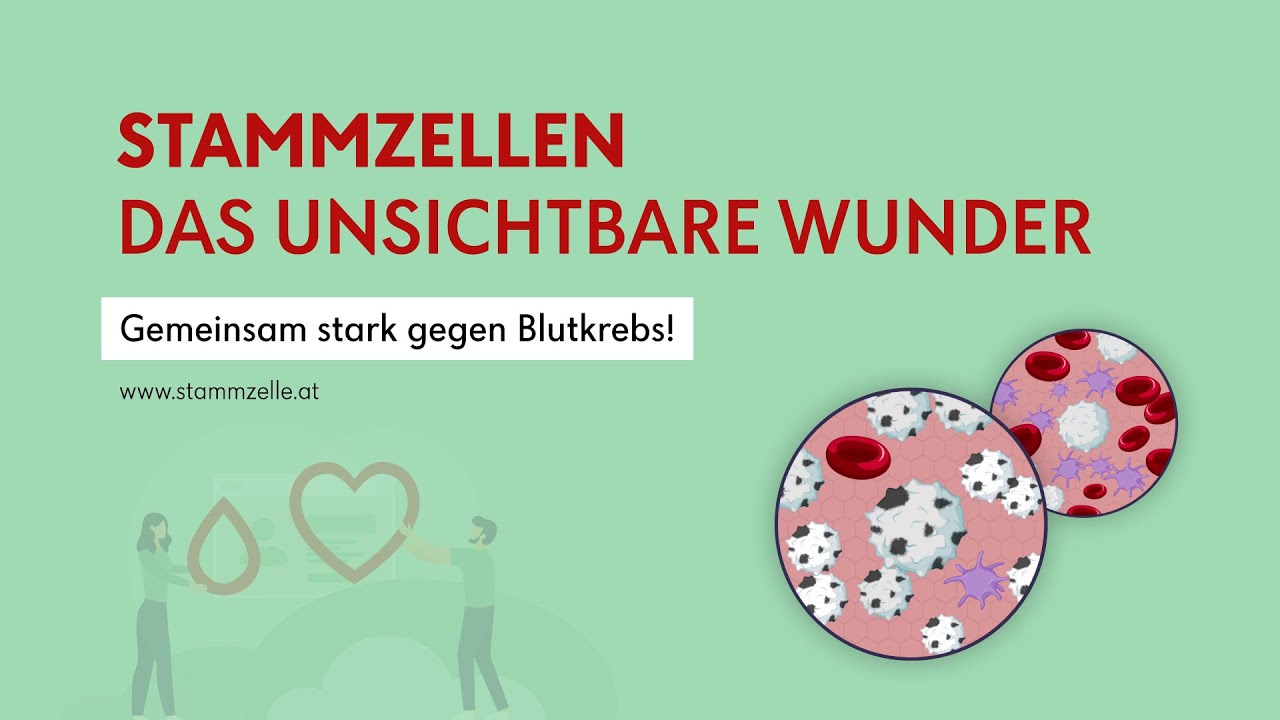 Stammzellen – das unsichtbare Wunder | Kurzfilm