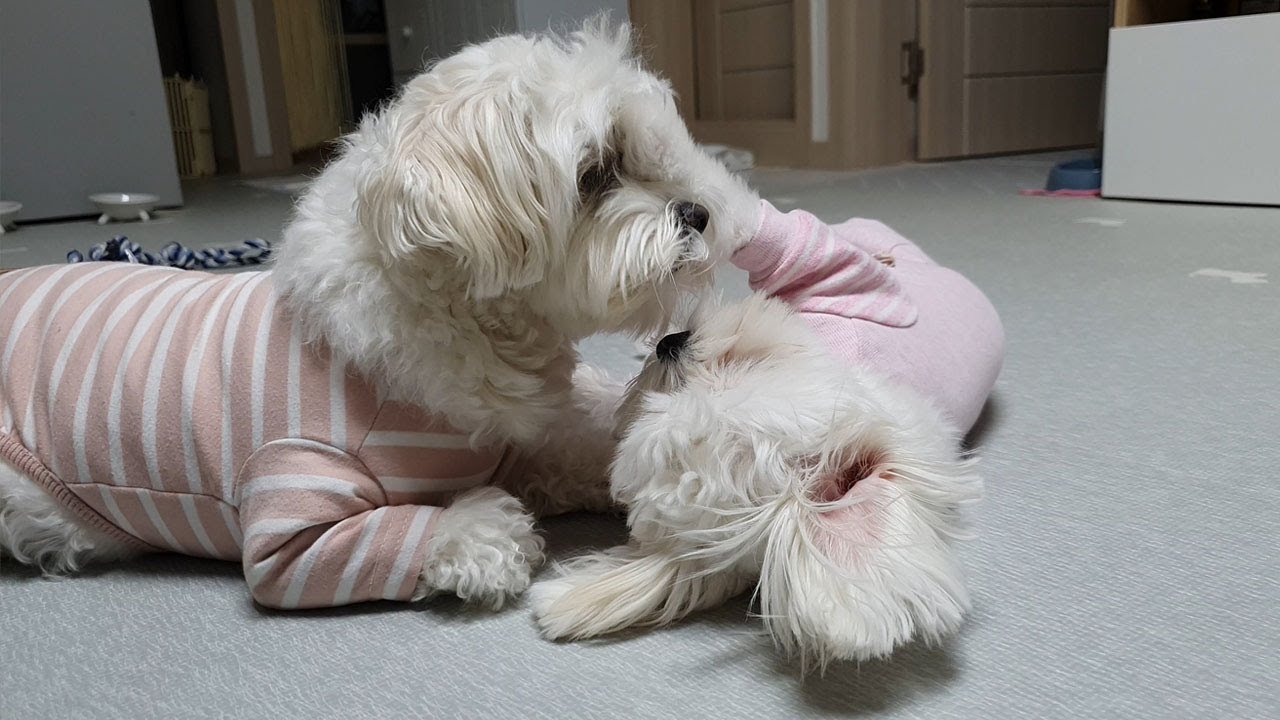 이런 엄마 또 없습니다..