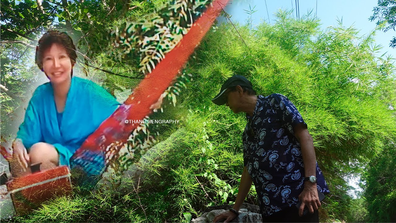 Suối Đá sau 24 năm - Thanh Điền một mình trở lại - Thanh Kim Huệ và Con Gái đi rồi !