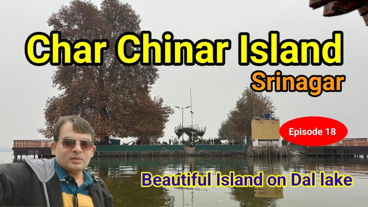 Kashmir | Char Chinar Island | Dal Lake | Srinagar | Beautiful Island to visit and photography