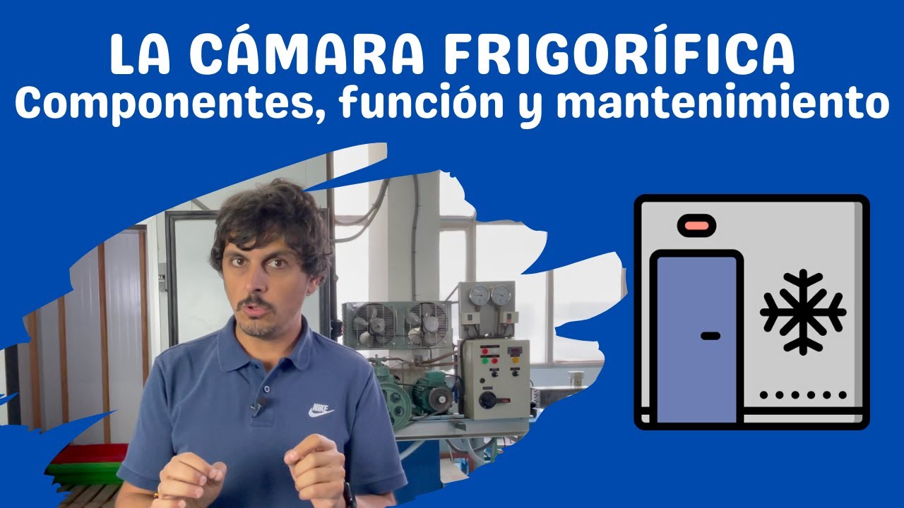 ¿Cómo Funciona REALMENTE una Cámara Frigorífica? (¡Sorprendente!) 🧊🧊🧊