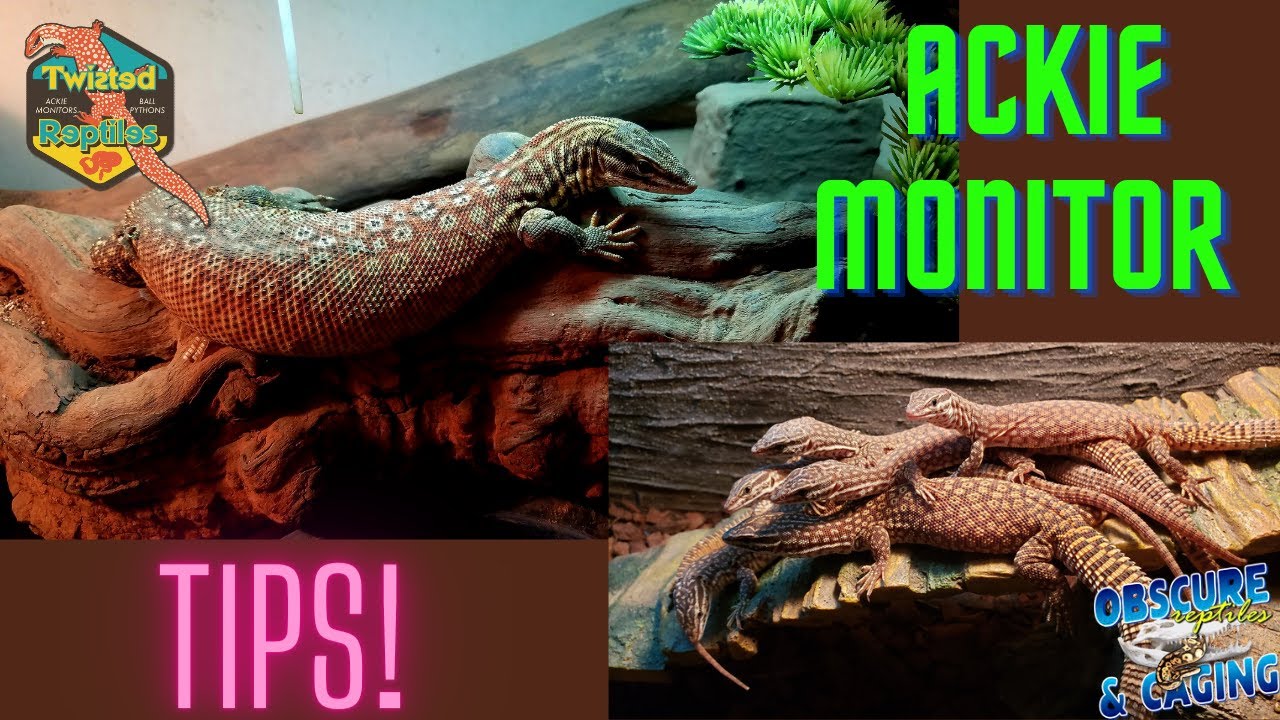 Ackie Monitor Tips and Info!