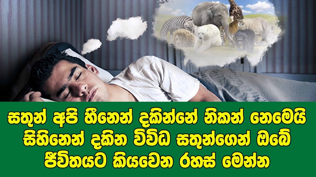 සිහිනෙන් දකින විවිධ සතුන්ගෙන් ඔබේ ජීවිතයට කියවෙන රහස් මෙන්න