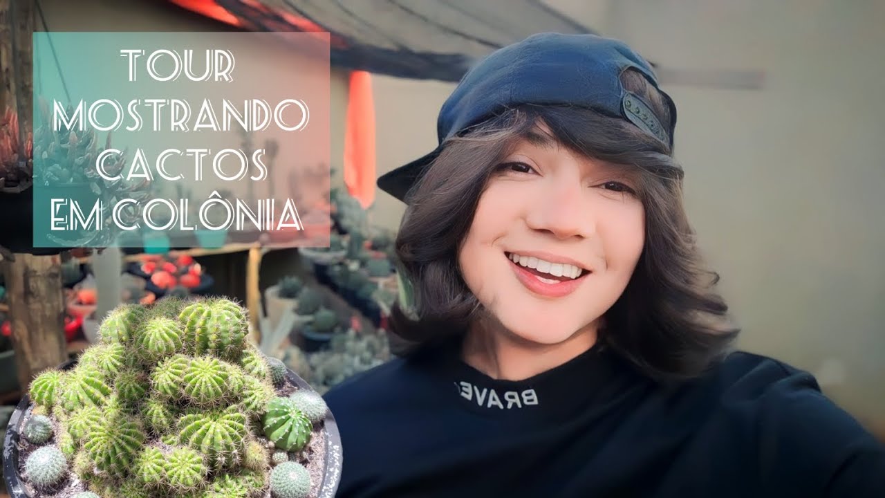 CACTO EM COLONIAS 💚🌵#cactus