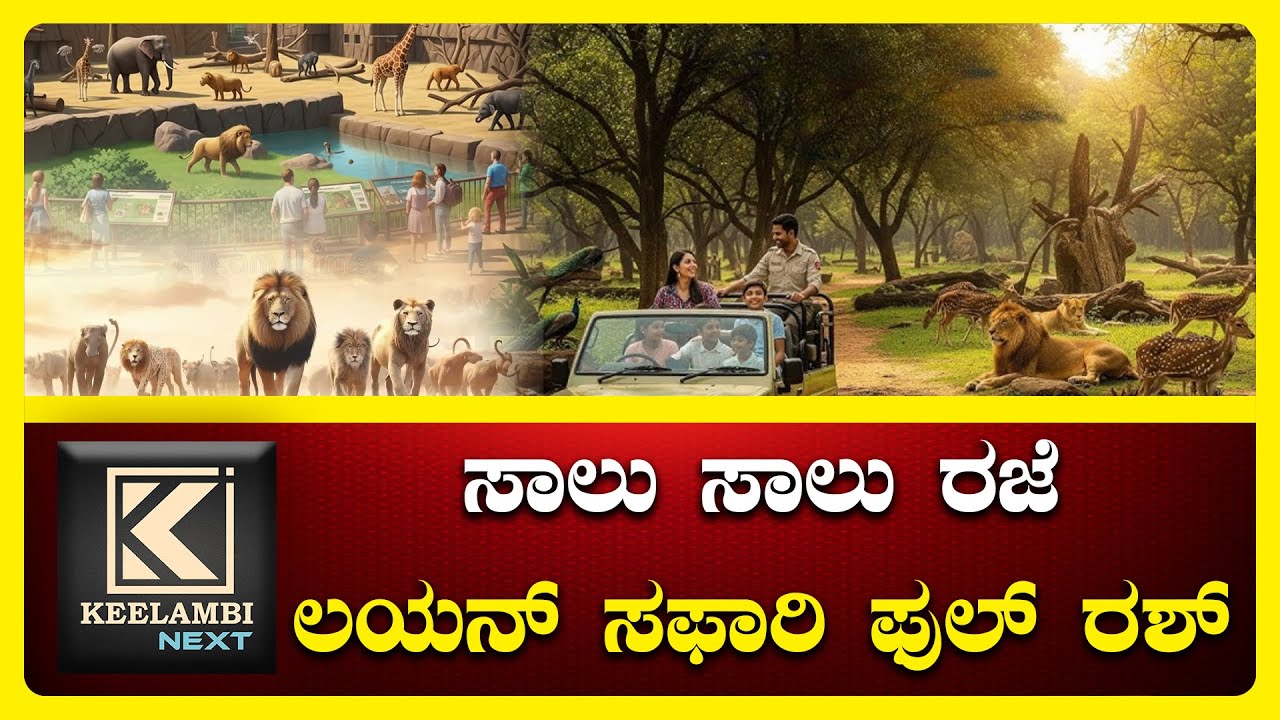 Tiger and Lion Safari | Tyavarekoppa Shivmogga #keelambi #shimoga #lionsafari #tigersafari