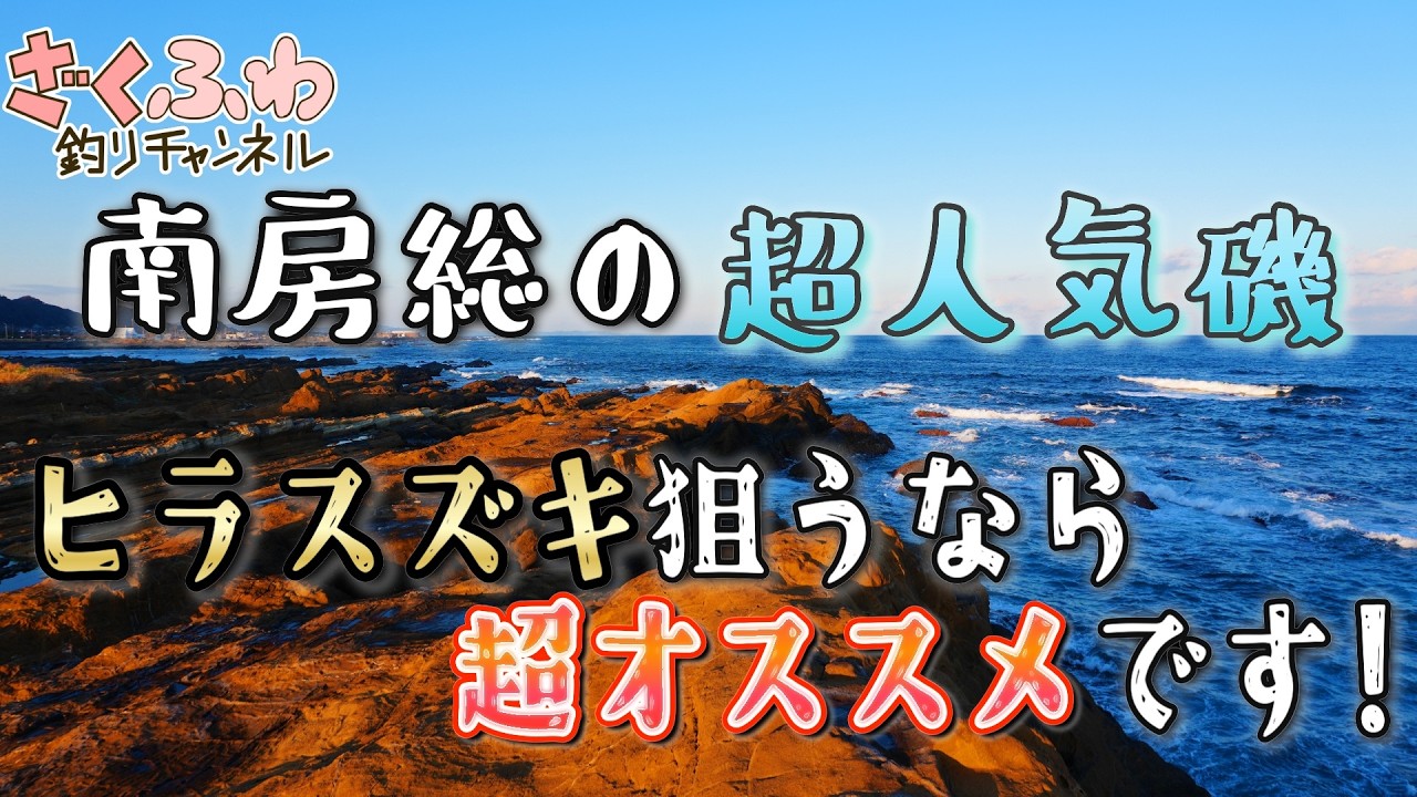 かつて青物が大フィーバーした南房総の人気磯へ！最高のサラシでヒラスズキ調査！【釣場調査】【ロックショア】