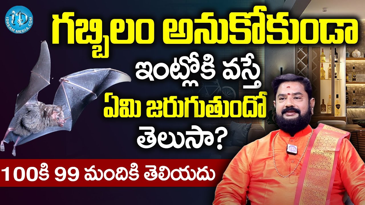 గబ్బిలం అనుకోకుండా ఇంట్లోకి వస్తే ఏమి జరుగుతుందో తెలుసా? | Gabbilam Intloki Vaste Doshama | iDream