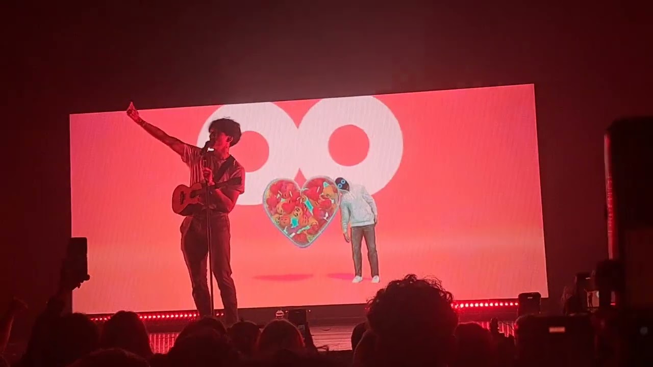 BoyWithUke - Idgaf (Live In Utrecht)