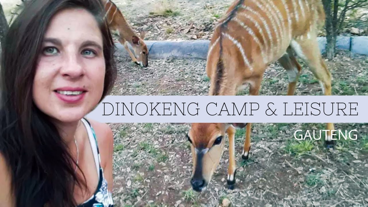 Dinokeng Camp & Leisure | Dinokeng Game Reserve | Gauteng Campsites