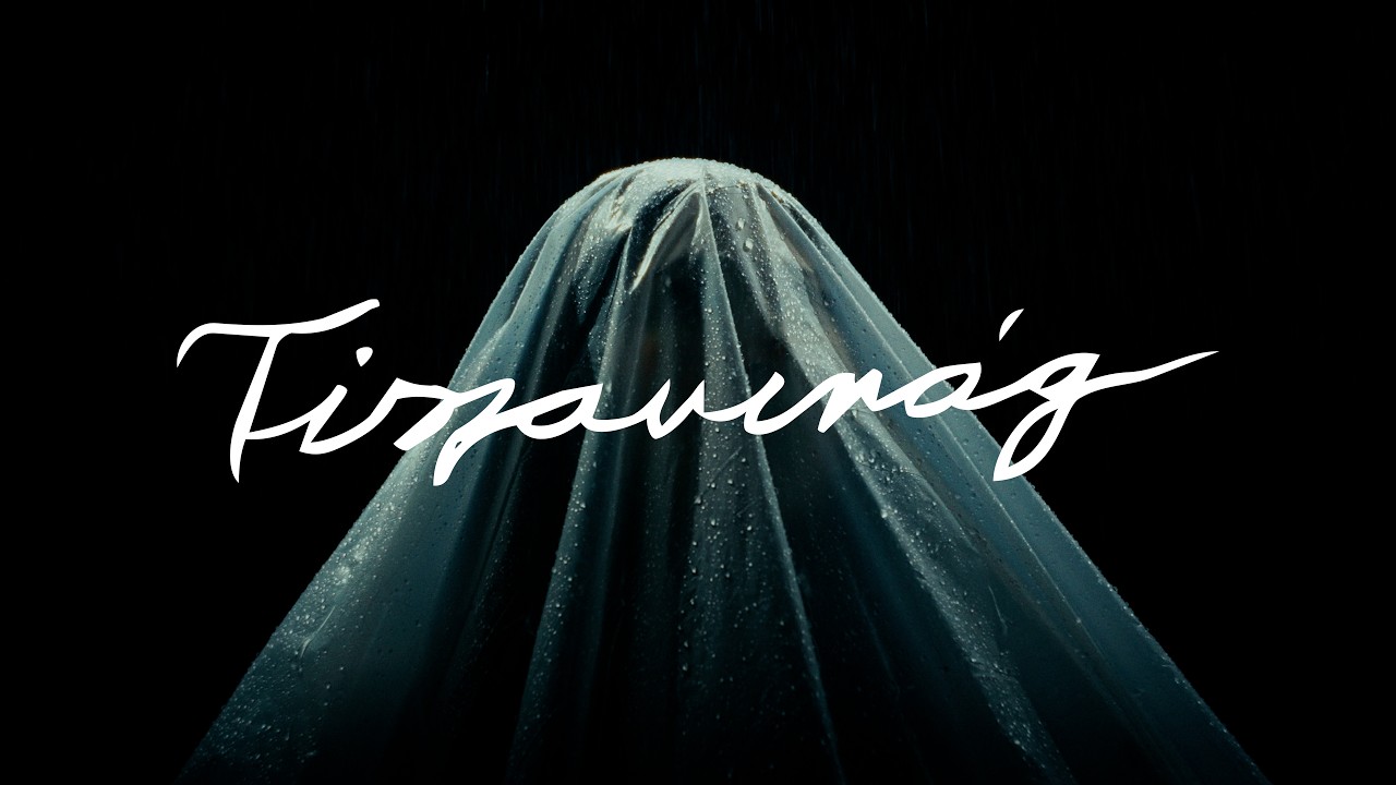 Mehringer - TISZAVIR&Aacute;G