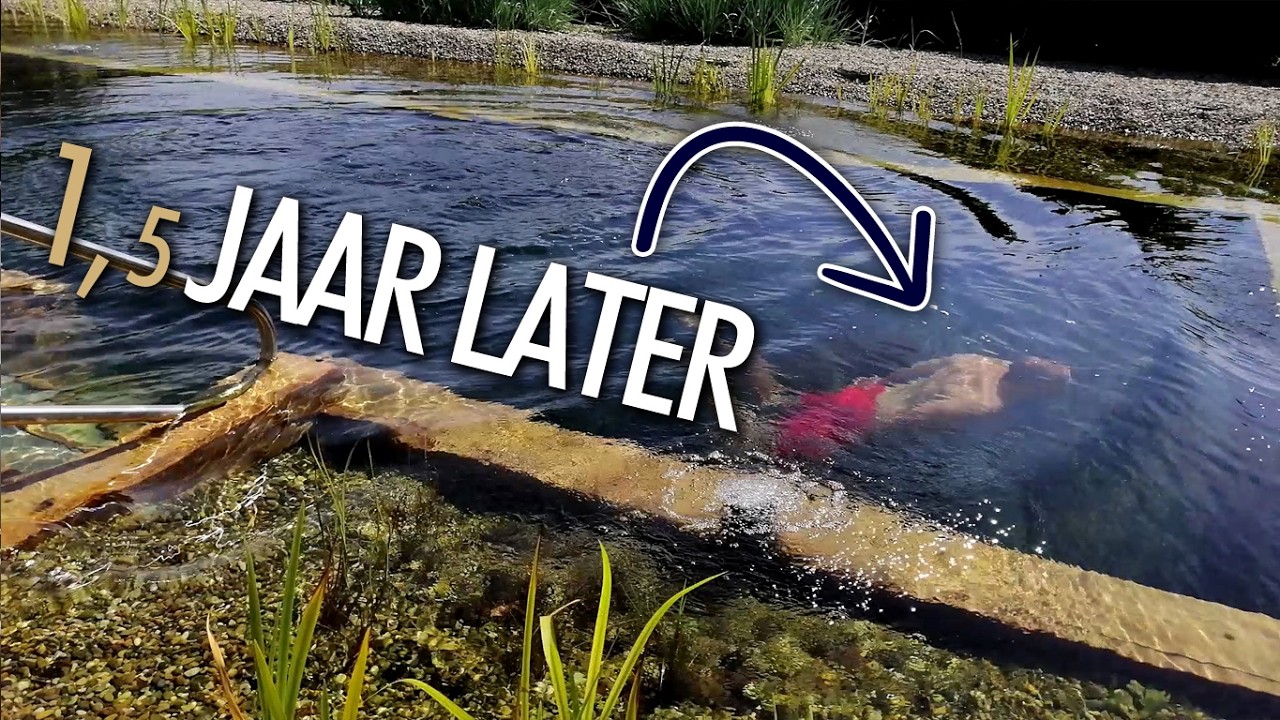 Zwemvijver Oostellingwerf 1,5 jaar later