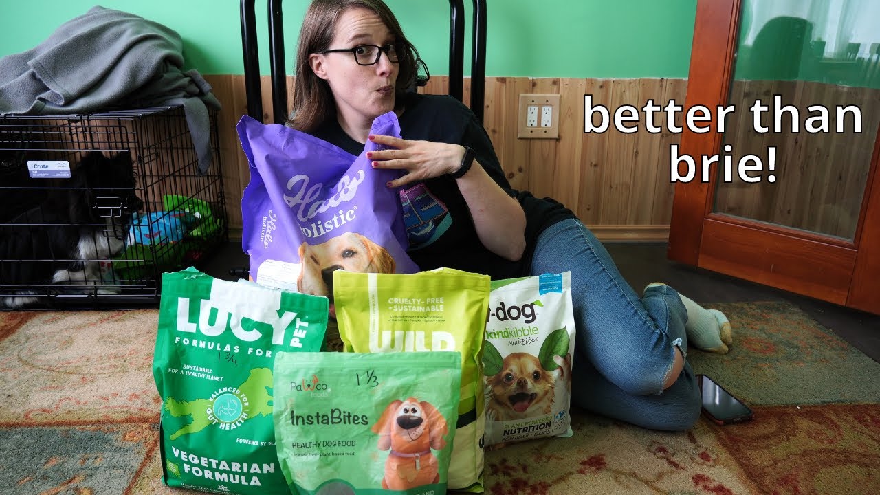 Eating Vegan Dog Food for Views (plus cost comparisons)