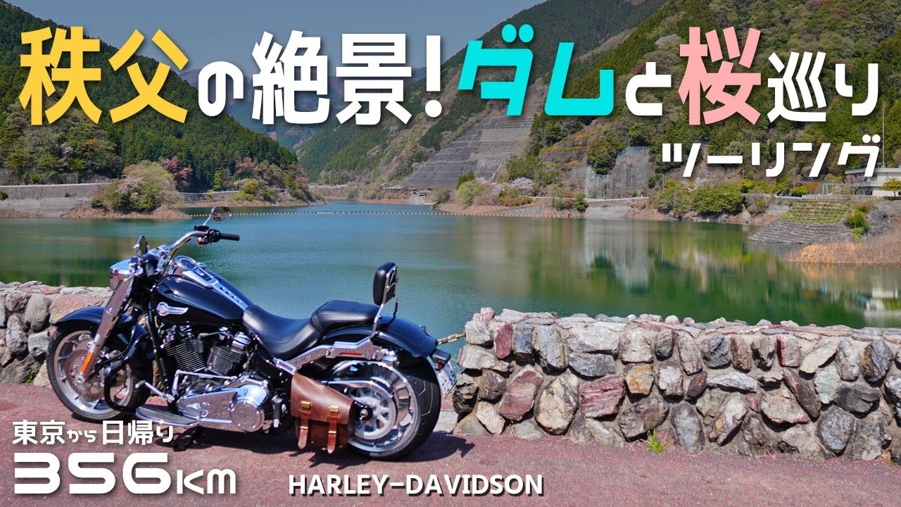 秩父の峠を走り有間ダムと千本桜を巡るツーリング/ハーレー/バイク/埼玉