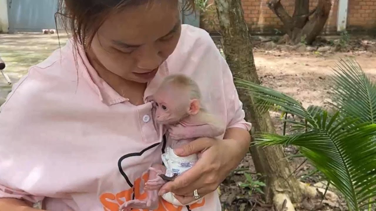 Mom Sorry Rush To Hugging Chichi Full In Her Heart