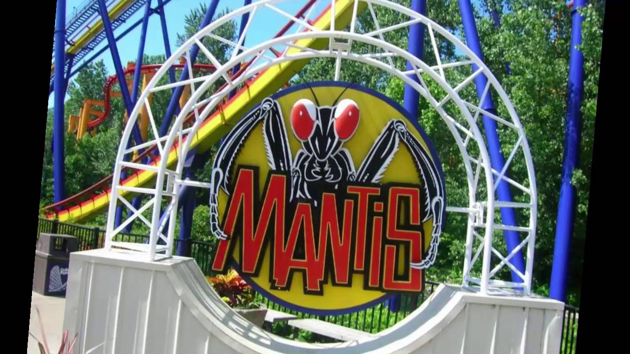 The Evolution of Roller Coasters