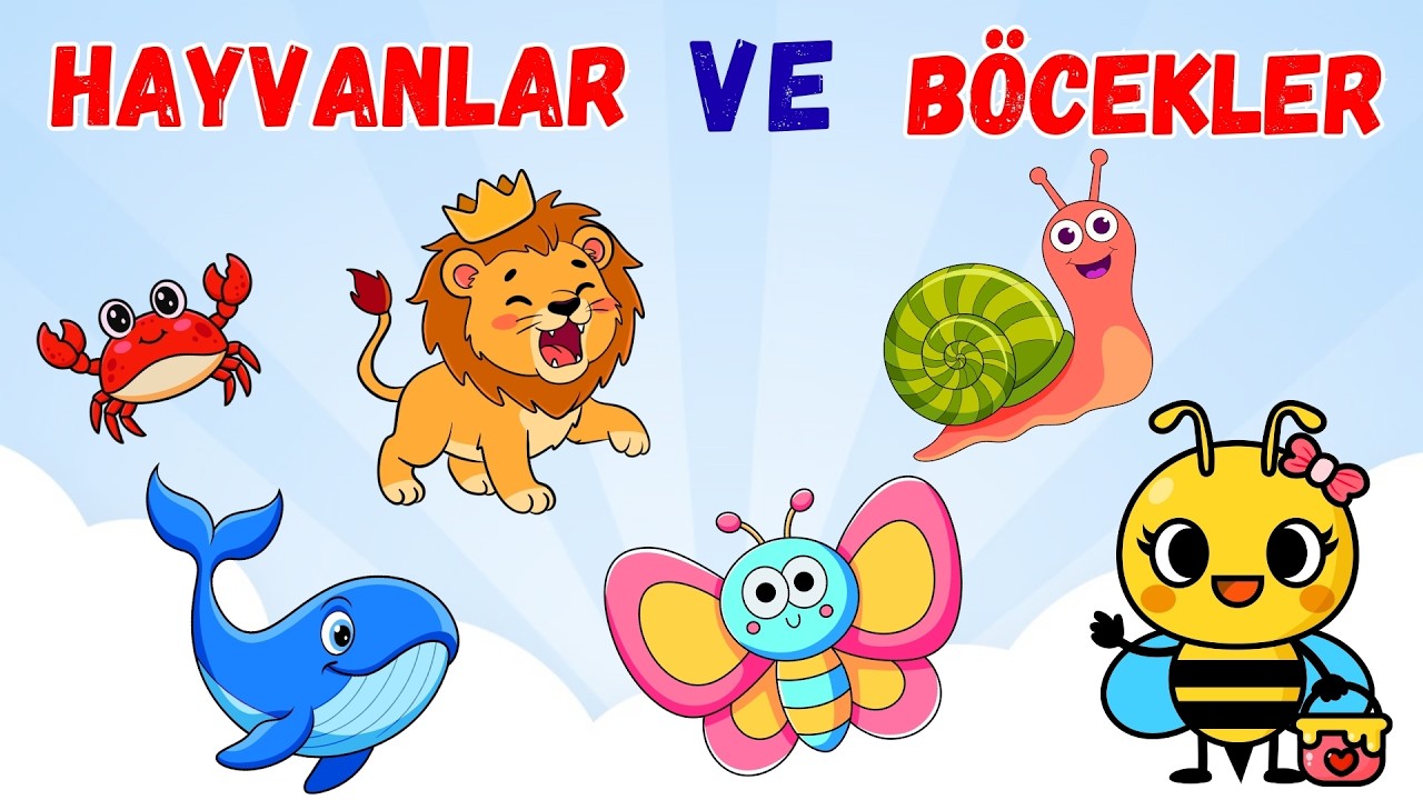 Hayvanlar ve Böceklerin İsimlerini Öğreniyoruz! 🐶🐞 | Çocuklar İçin Eğitici Video