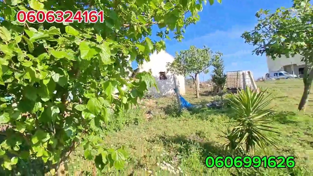 أرض للبيع بين طنجة و القصر صغير بدوار  الرمان  1800 متر محفظة  وعندا رخصة( تفاصيل في الفيديو)