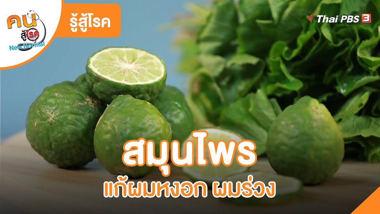 สมุนไพรแก้ผมหงอก ผมร่วง | รู้สู้โรค