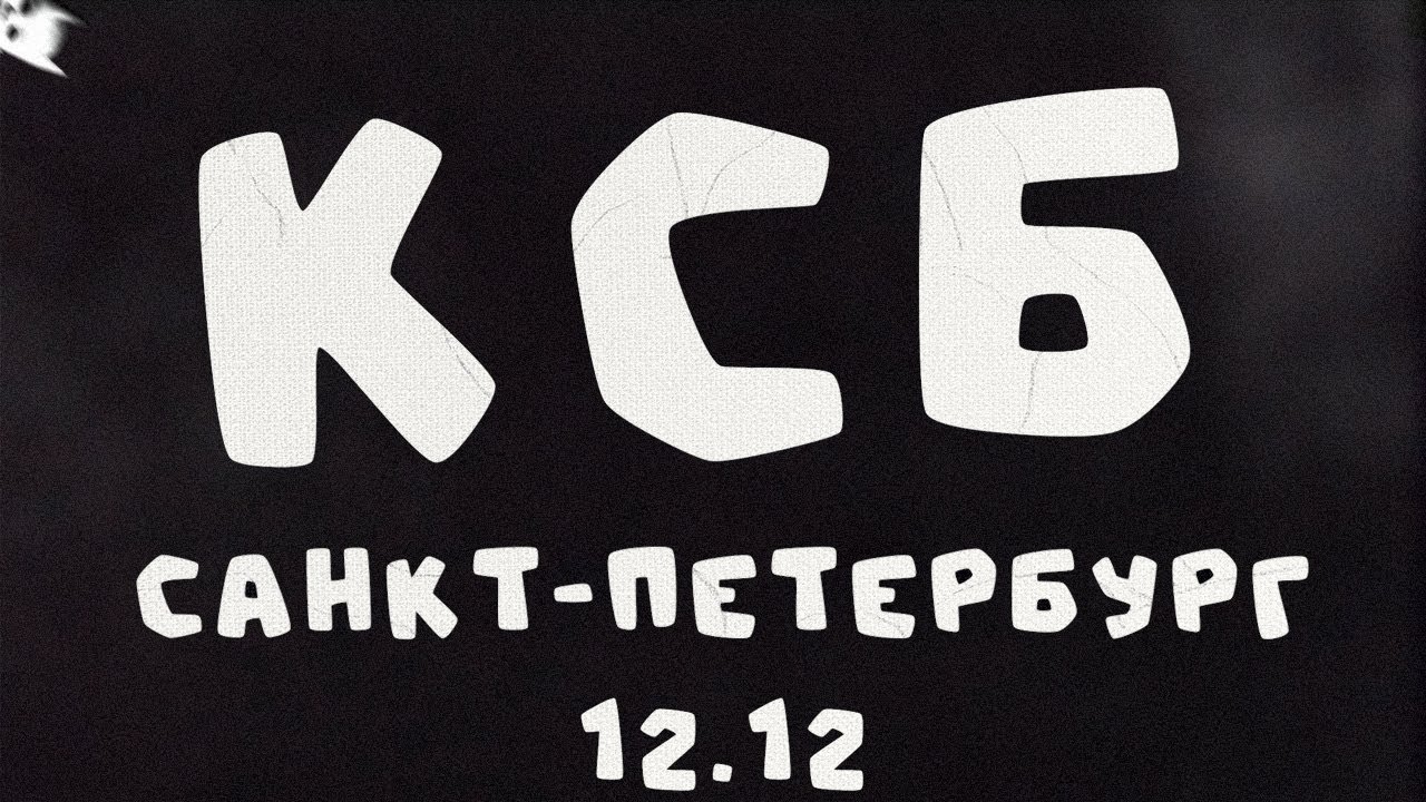 Ксб Muzic 12.12 | Концерт глазами RaveBidKids | Отзыв Гоэля