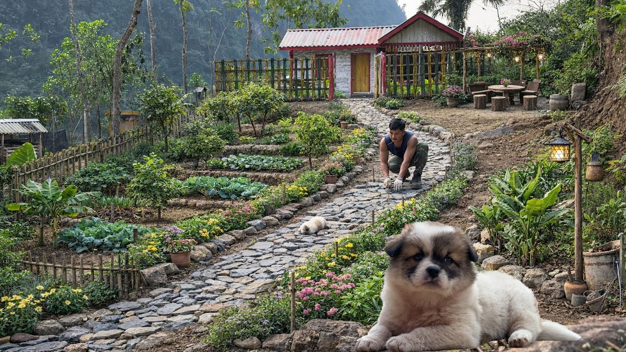 Stone Path to the House | Farm Garden Renovation & a New Companion