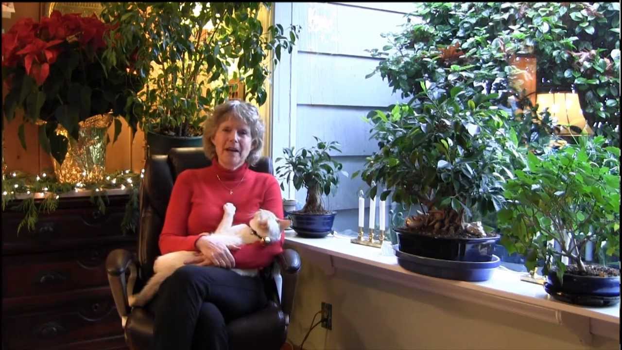 Whats In the Way 3 Mary O'Malley's Story