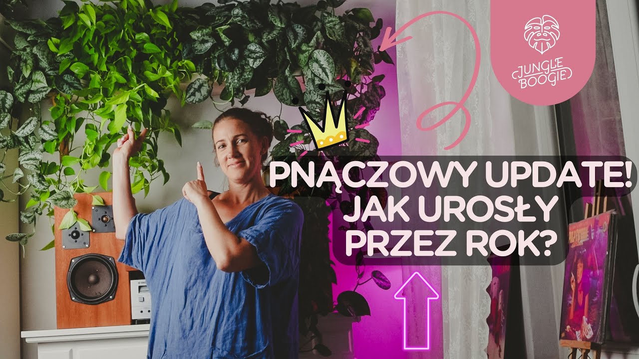 Zobaczcie, jak urosły przez rok! Moja najpiękniejsza kompozycja pnączy w… skrzynkach balkonowych