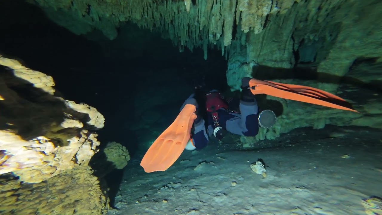 Cenote Fenomeno Mexico 2026 CCR Diving