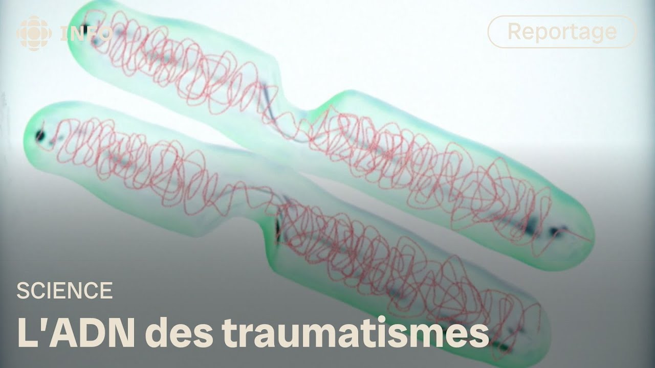 Quand les traumatismes se transmettent par les gènes | Découverte