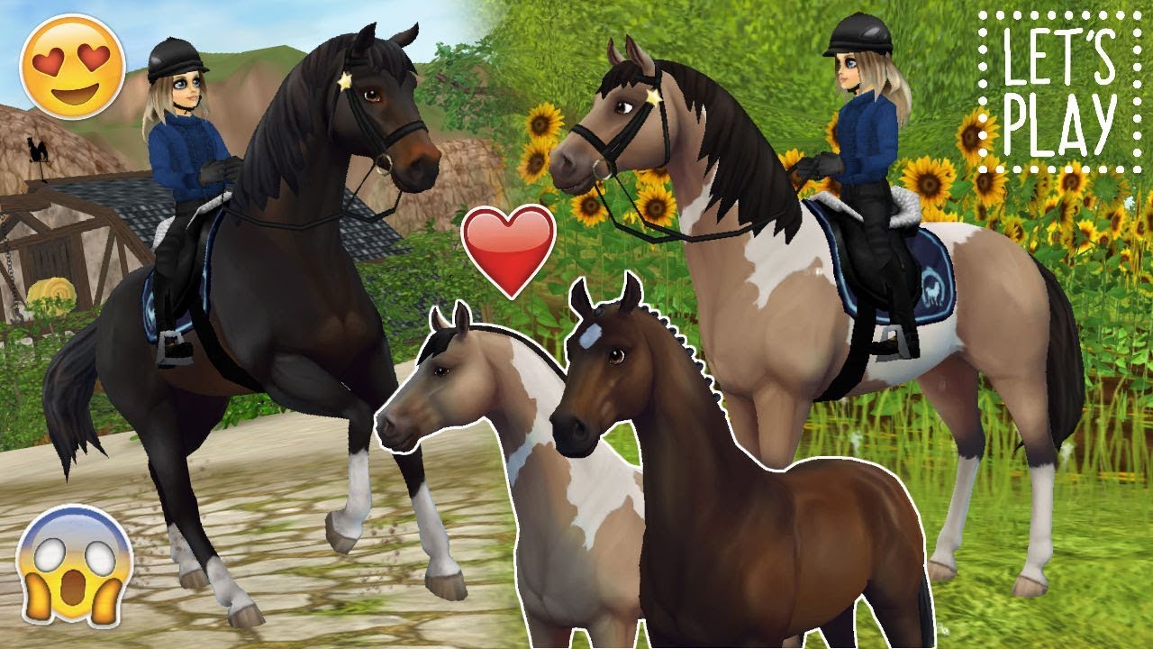 Nieuwe Starter-paarden!! + GRATIS je paard veranderen! - Update | Star Stable Online | Daphneee