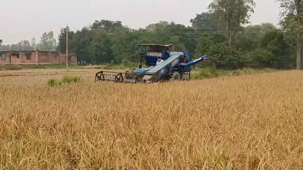Harvesting #automobile #funny #farming #trending #youtube #travel #vlog #comedy #trend #live #like 