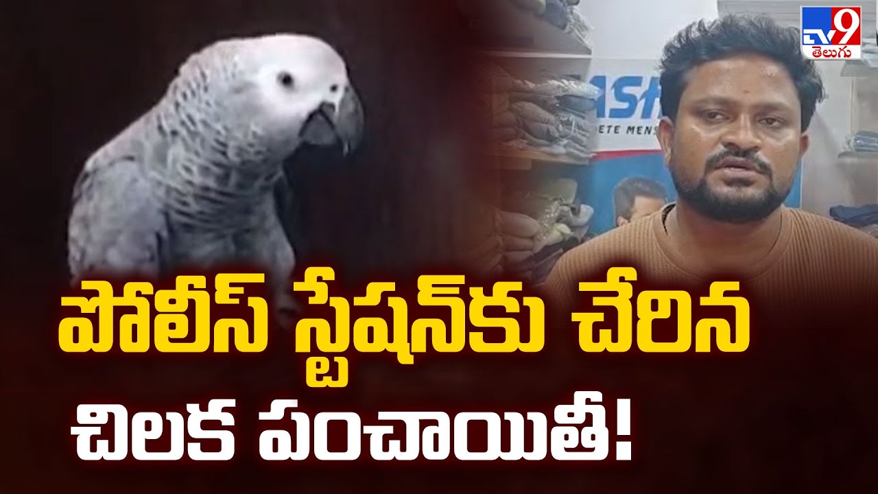 పోలీస్‌ స్టేషన్‌కు చేరిన చిలక పంచాయితీ! -TV9