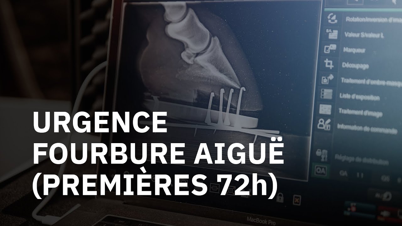 Urgence: Fourbure Aiguë (premières 72h)