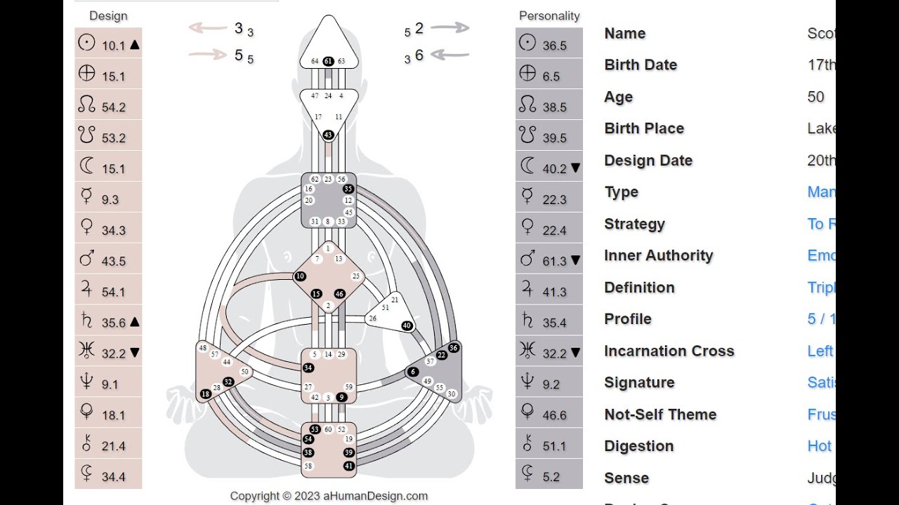 Understanding the Human Design Chart
