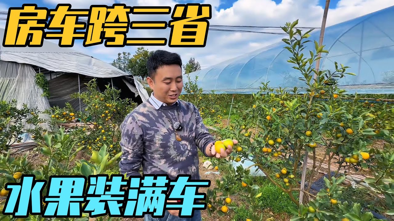 开房车赴约湖南烟火古村，却跨省满载一车甜蜜！广西砍蔗，湖南摘桔，甜到心里【家和远方的旅行】