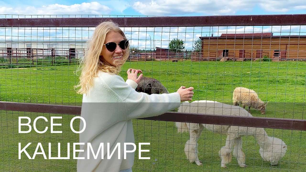 ВСЕ О КАШЕМИРЕ | 12Storeez